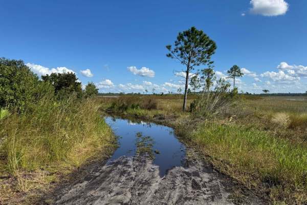 John T. Childers Road - ONF 53
