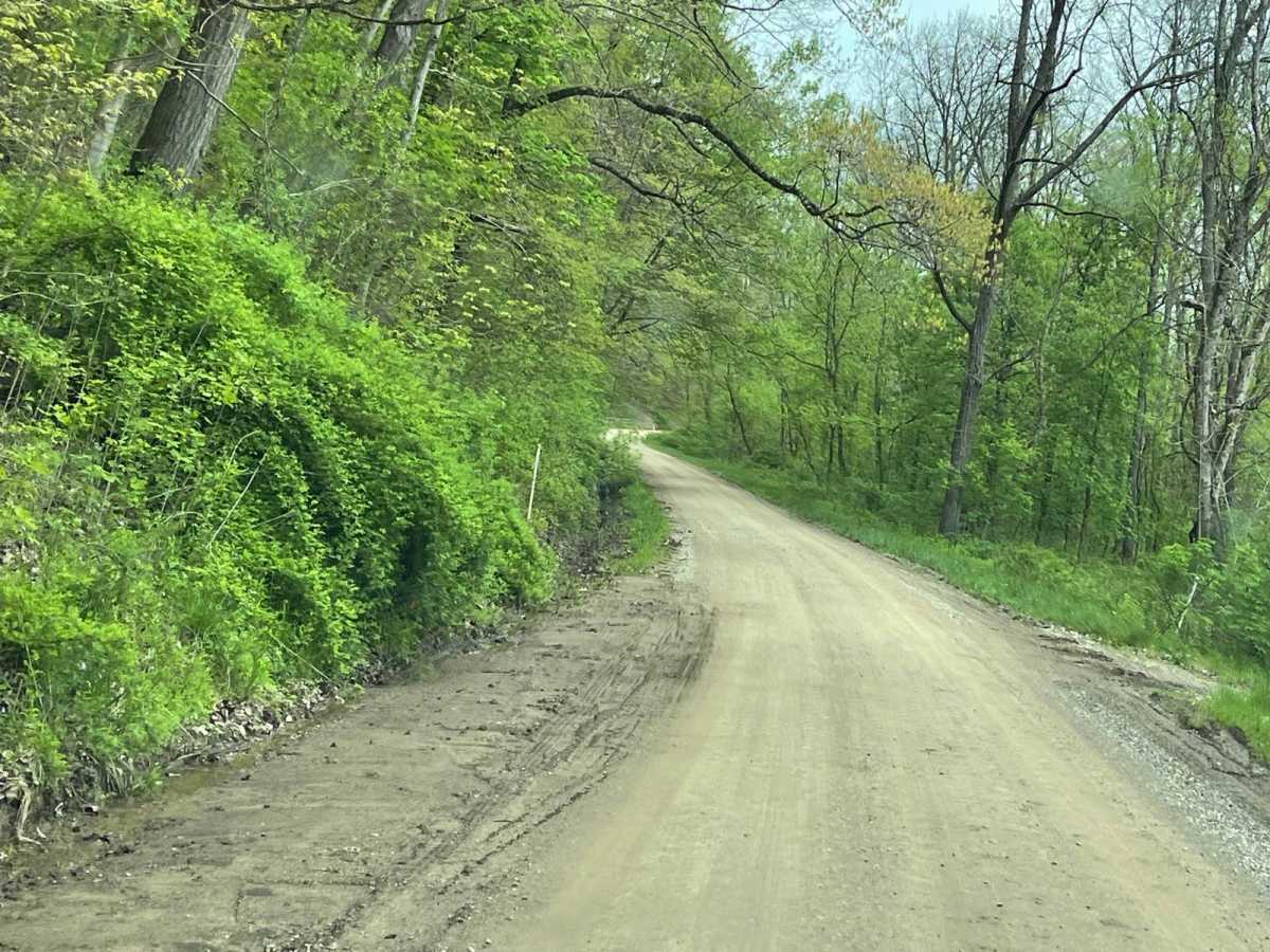 Batnest Loop photo 4