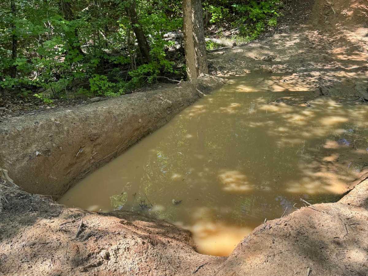 That Dam Trail photo 3