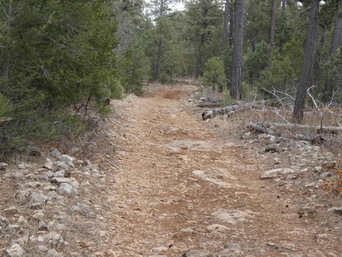 Lick Ridge photo 2