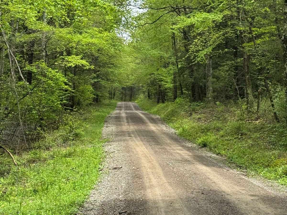 Breon Road photo 4