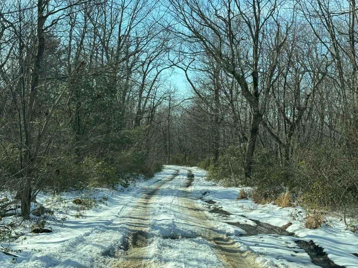 Little Flat Tower Road photo 6