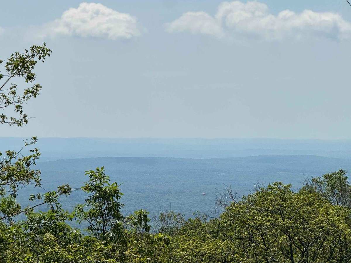 Fire Tower Road photo 5