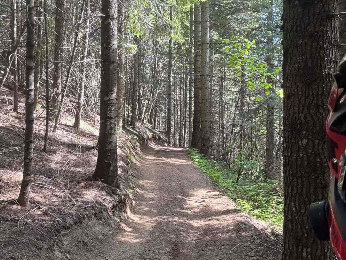 Partridge Creek OHV Trail 8290 trail photo