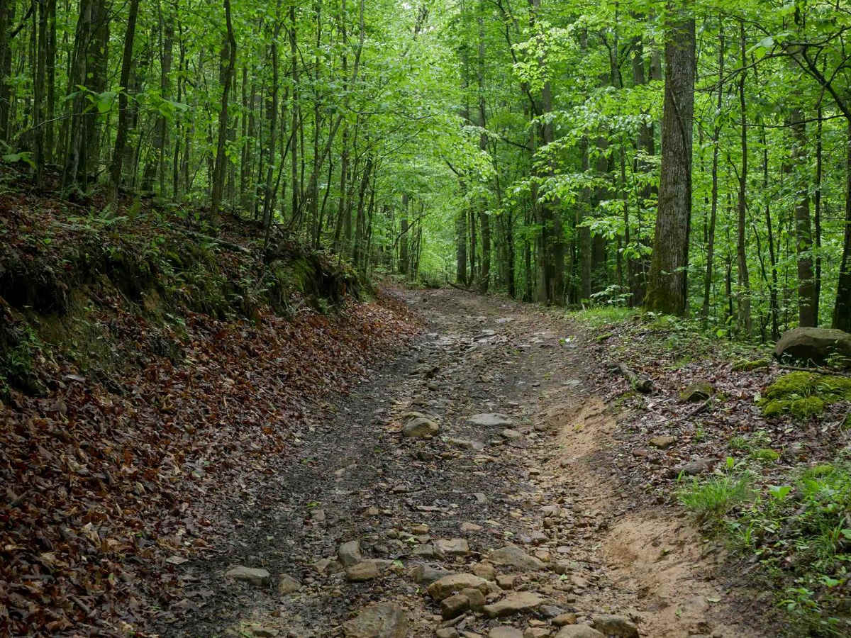 IB 35 trail photo