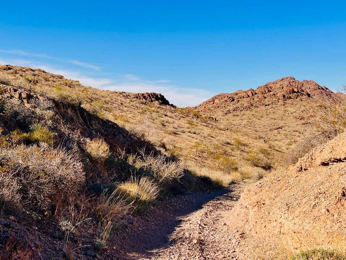 X Marks the Spot from Linda Mine photo 6