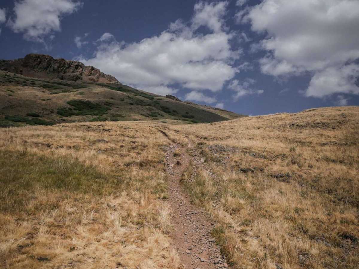 West Lost Trail photo 3