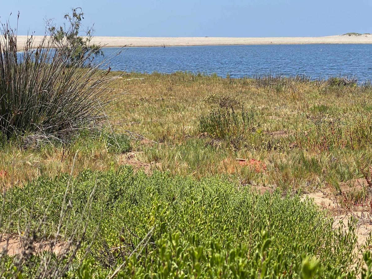 Playa La Bocana Rosario photo 5