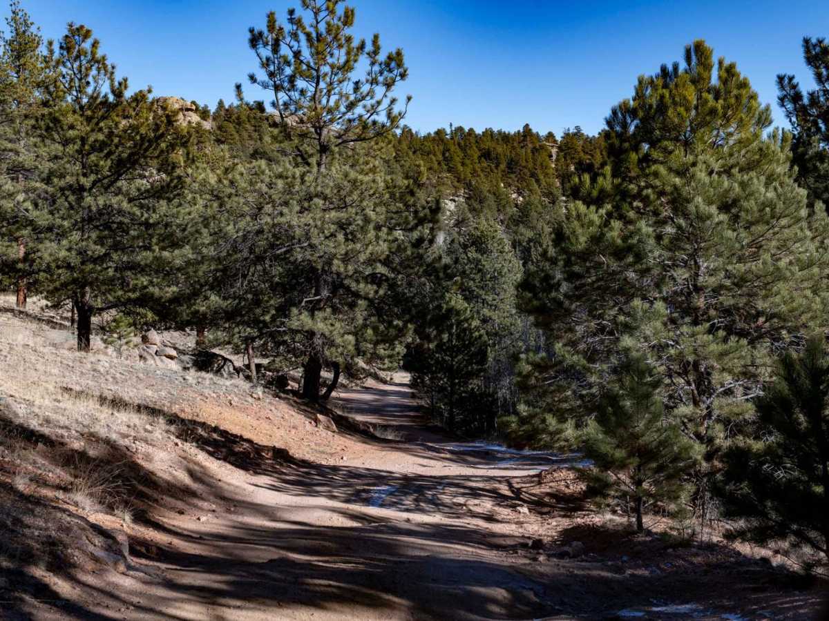Eleven Mile Canyon Cutoff trail photo