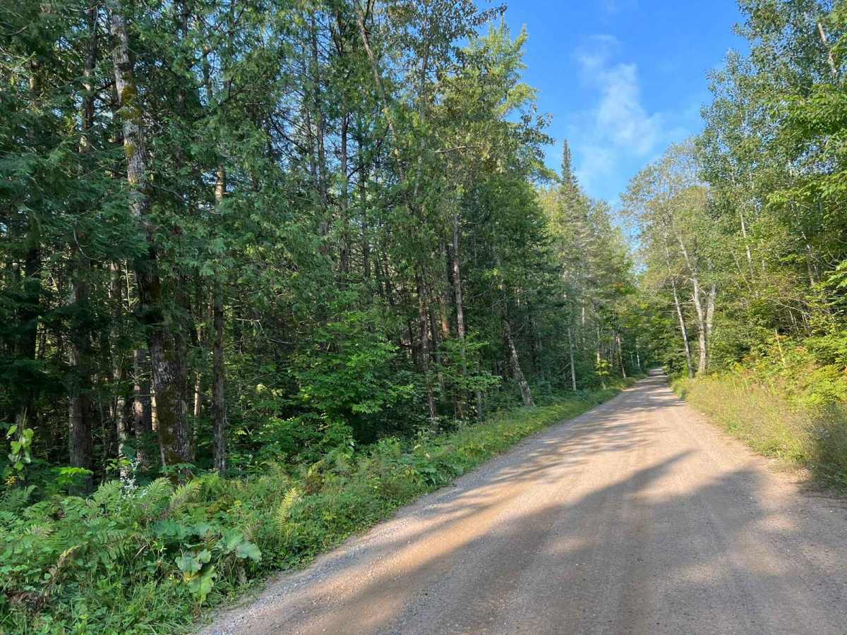 Camp 1 Road - FS 2361 photo 6