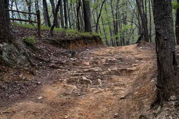 Slab Pile Trail 79