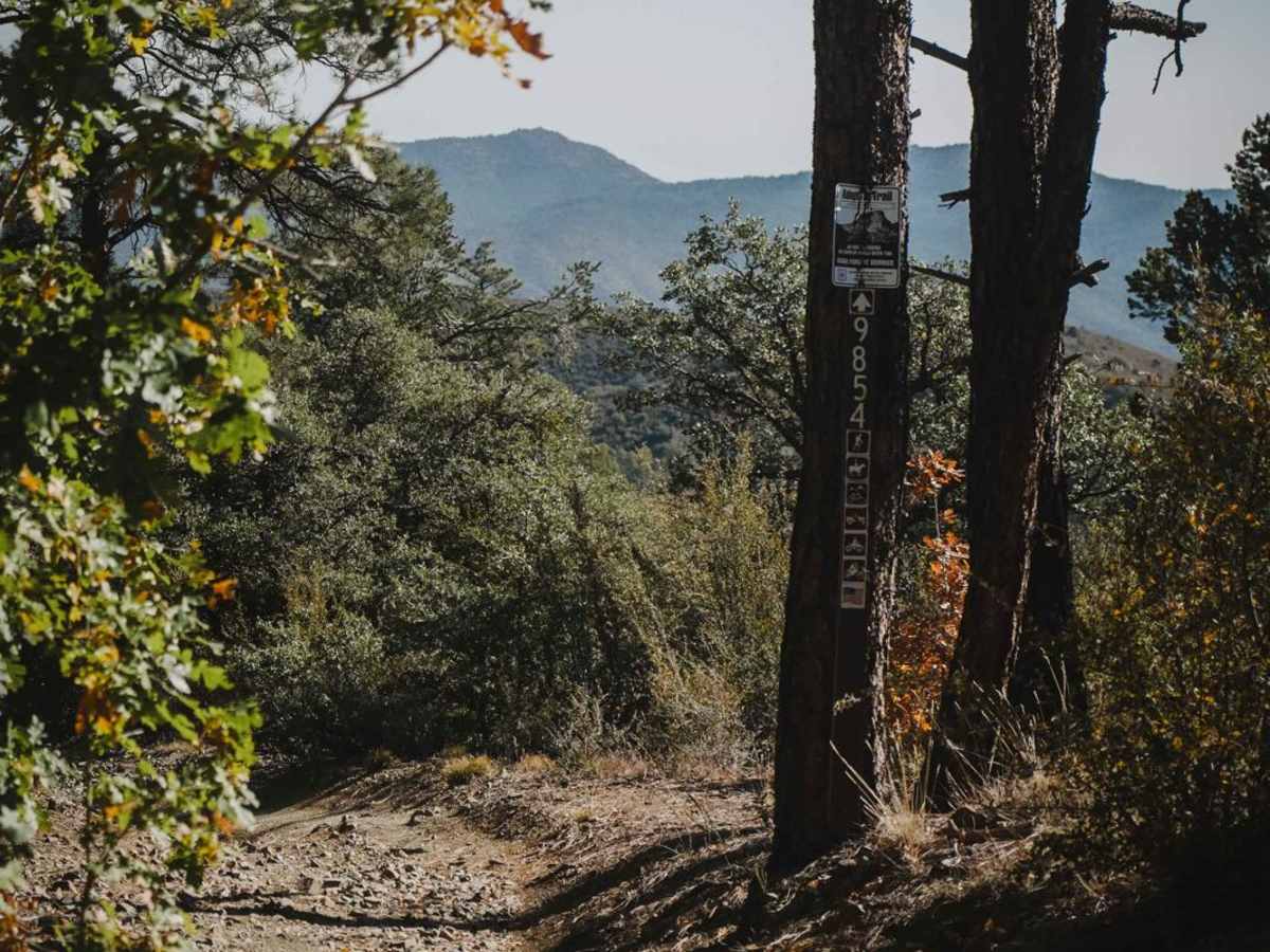 Seven Mile Gulch trail photo