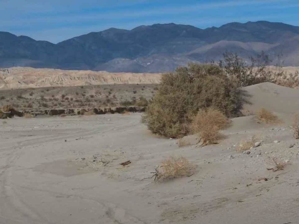 Hills of the Moon photo 5