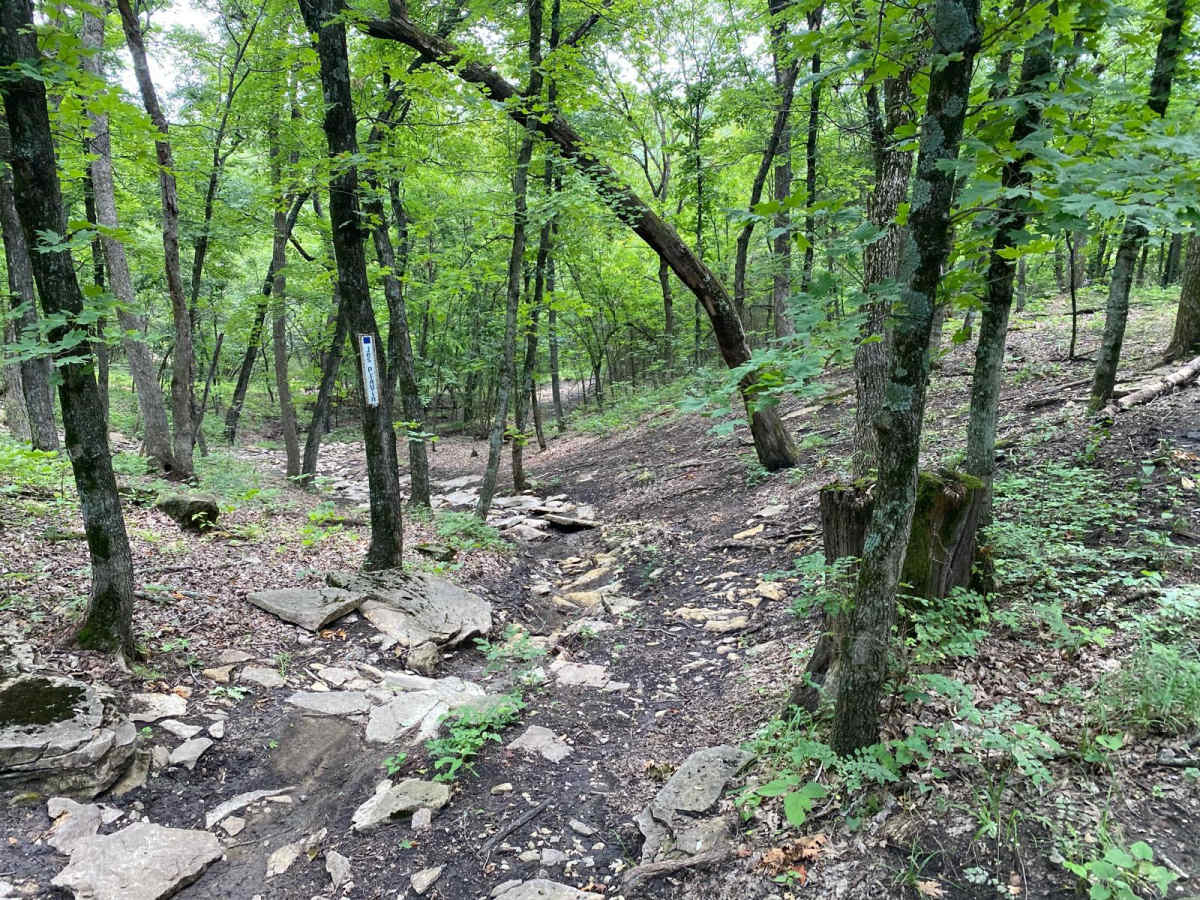 Jes Playin trail photo