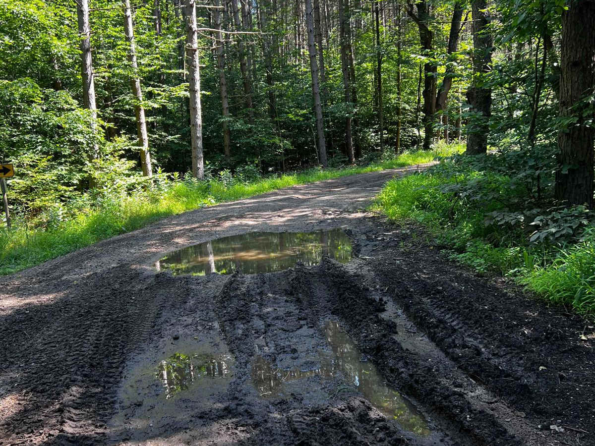 NFS 7267 trail photo