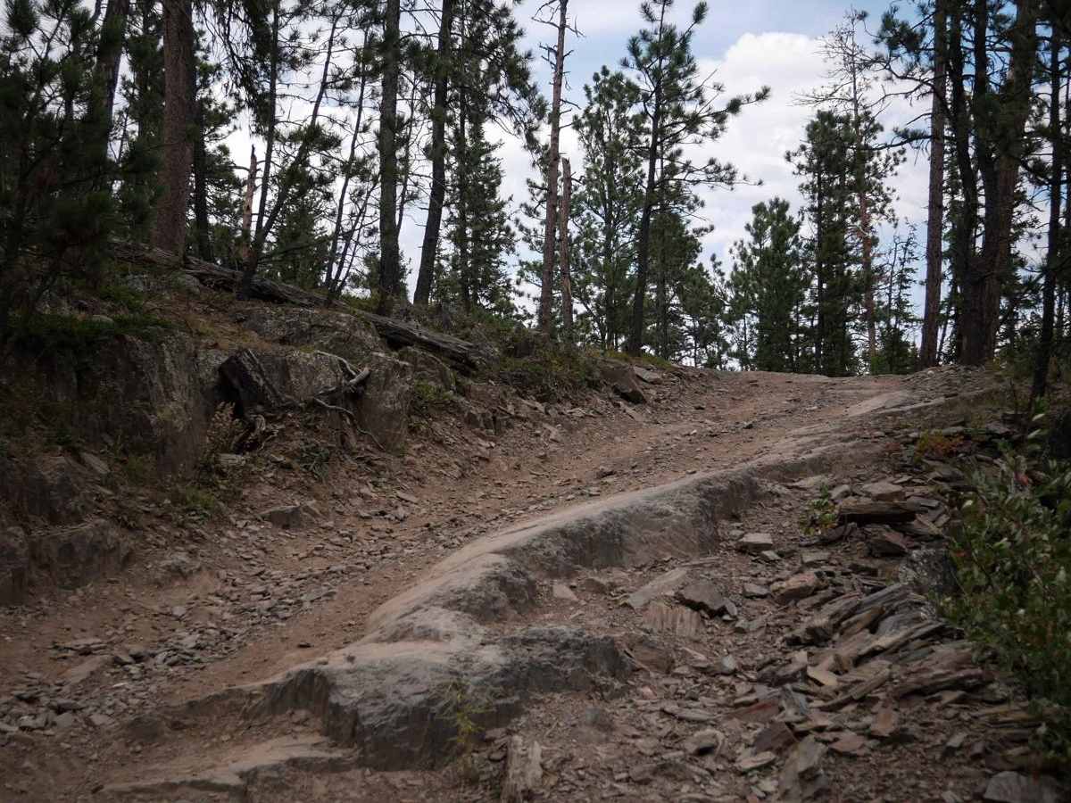 Centennial 8089 trail photo