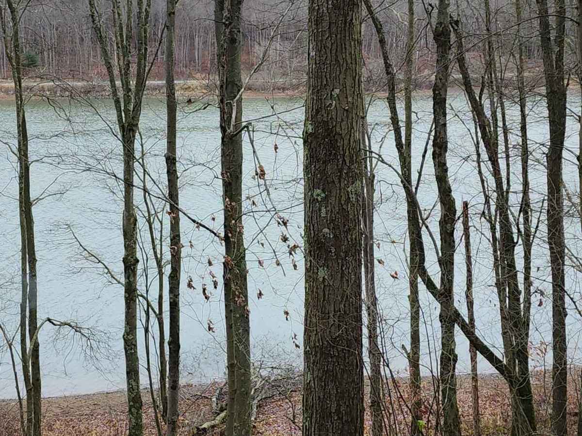 Oneida Valley Dam photo 4