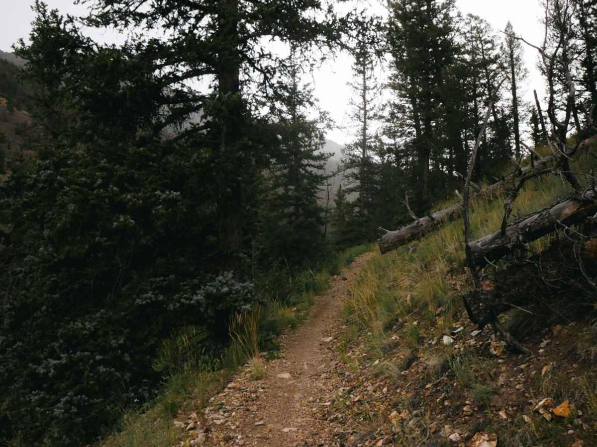 Miners Creek Trail trail photo