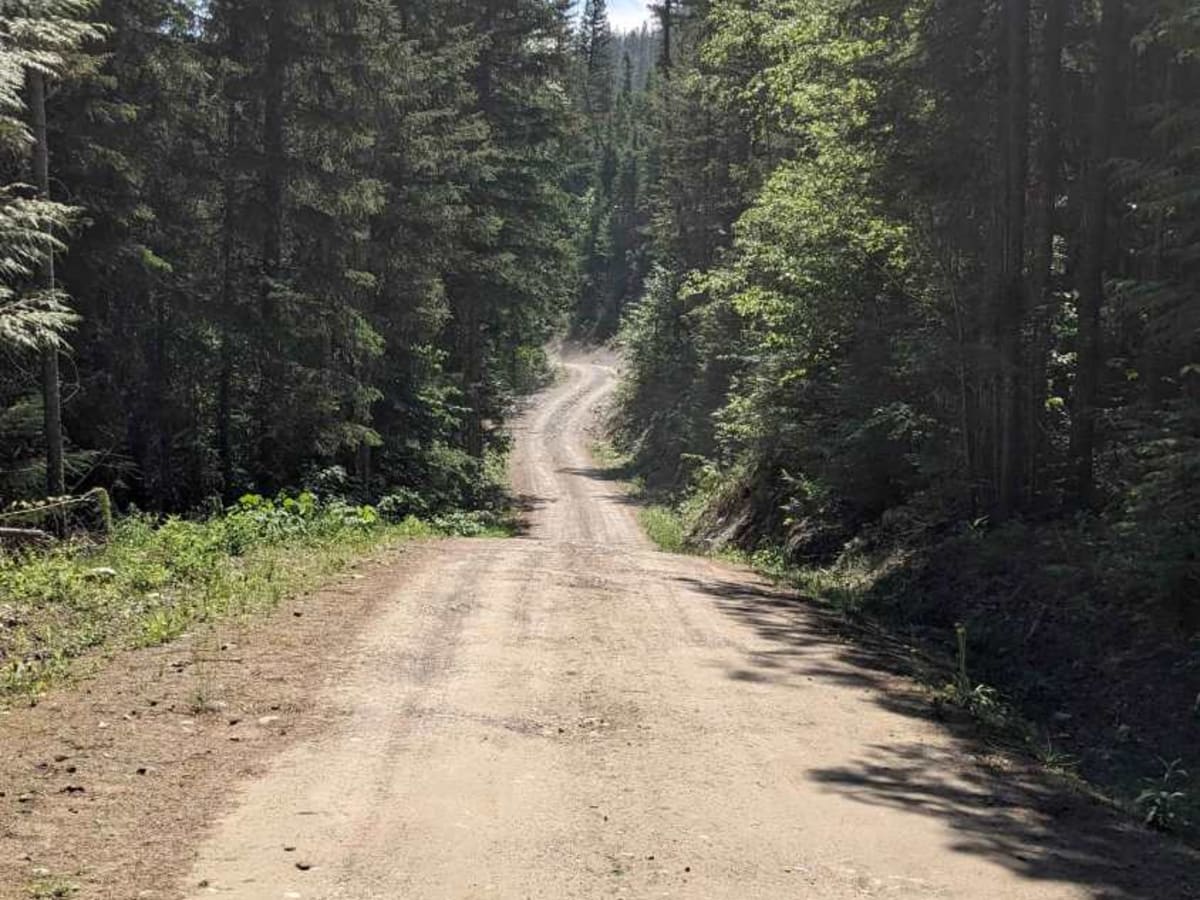 Sulphur Creek Trail photo 3