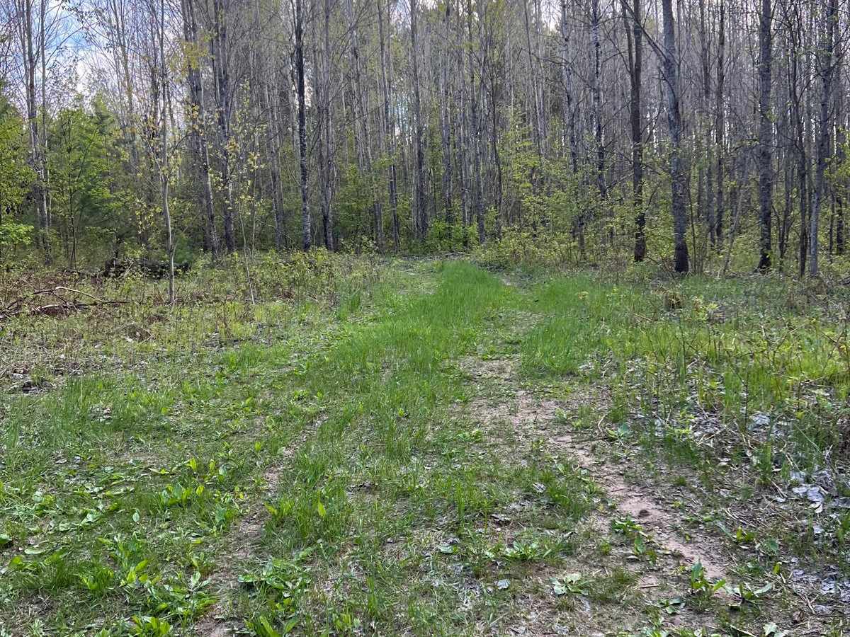 Bewilder Trail photo 3
