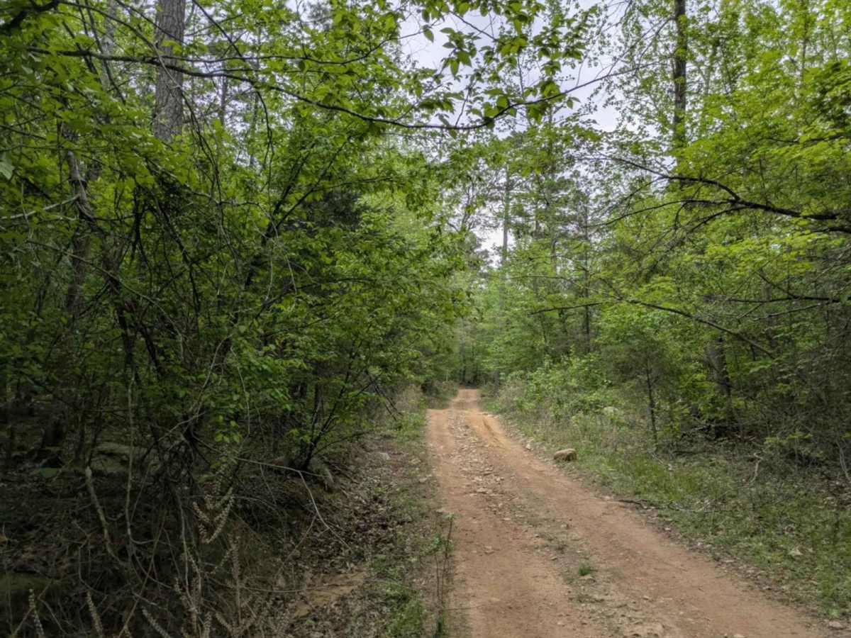 Bramlett R photo 2