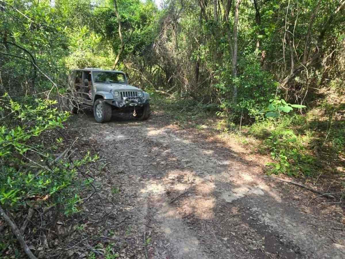 Trail 6 photo 3