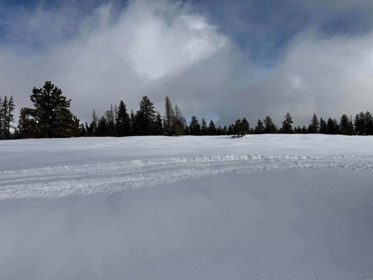 Veterans Trail photo 3