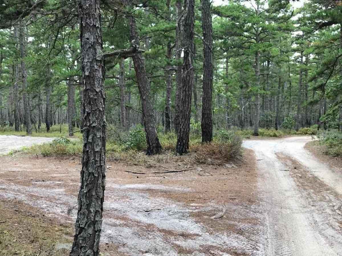 Middle Trail photo 3