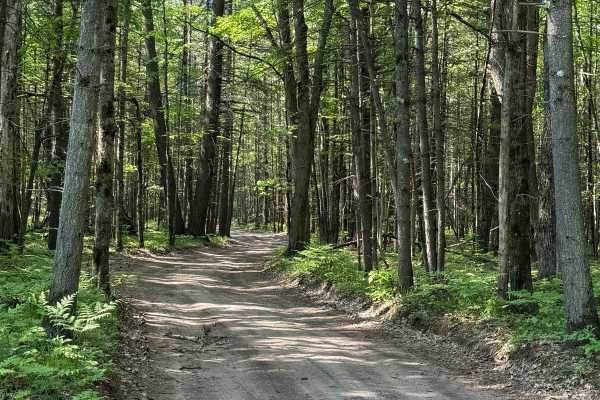 Riverbend Trail