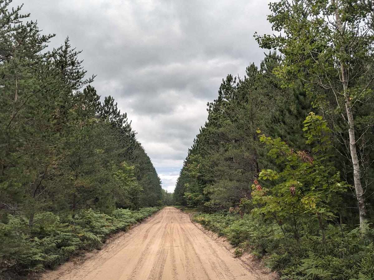 Silver Creek photo 3
