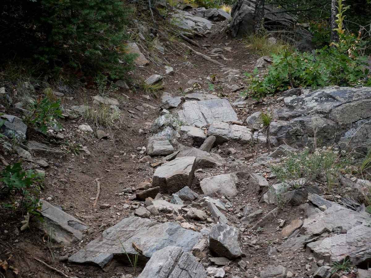 Bull Gulch Single Track - 6062 trail photo