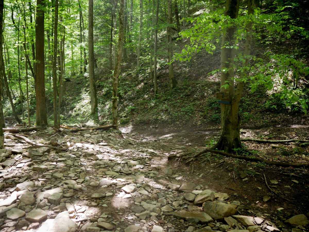 Trail 7 photo 2