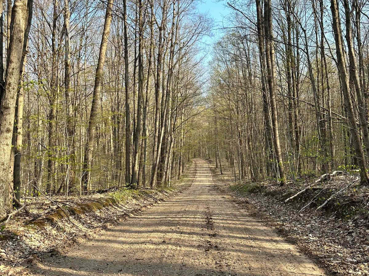 Cadillac Area ORV/OHV Scenic Ride - Part 6 photo 4