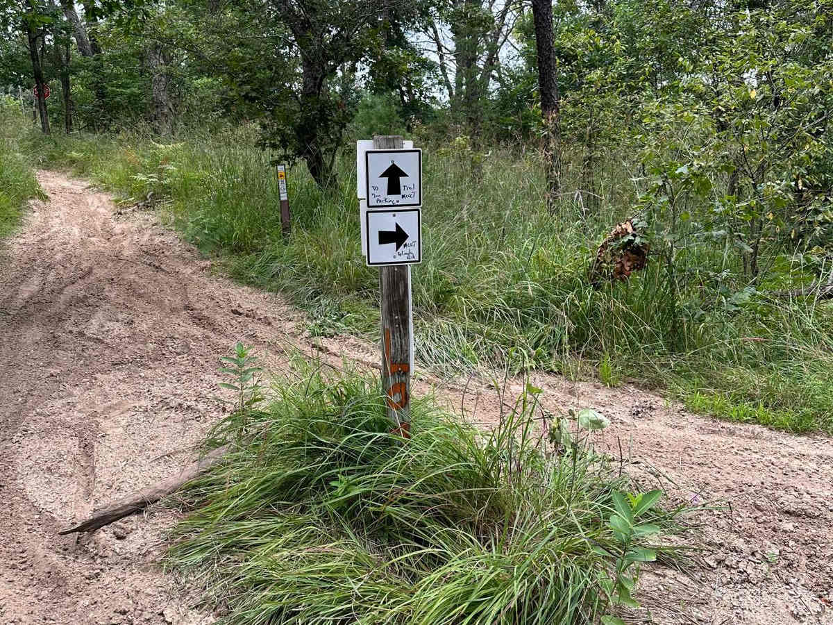 Little Manistee/Lincoln Hills Connector - Motorcycle Trail photo 6