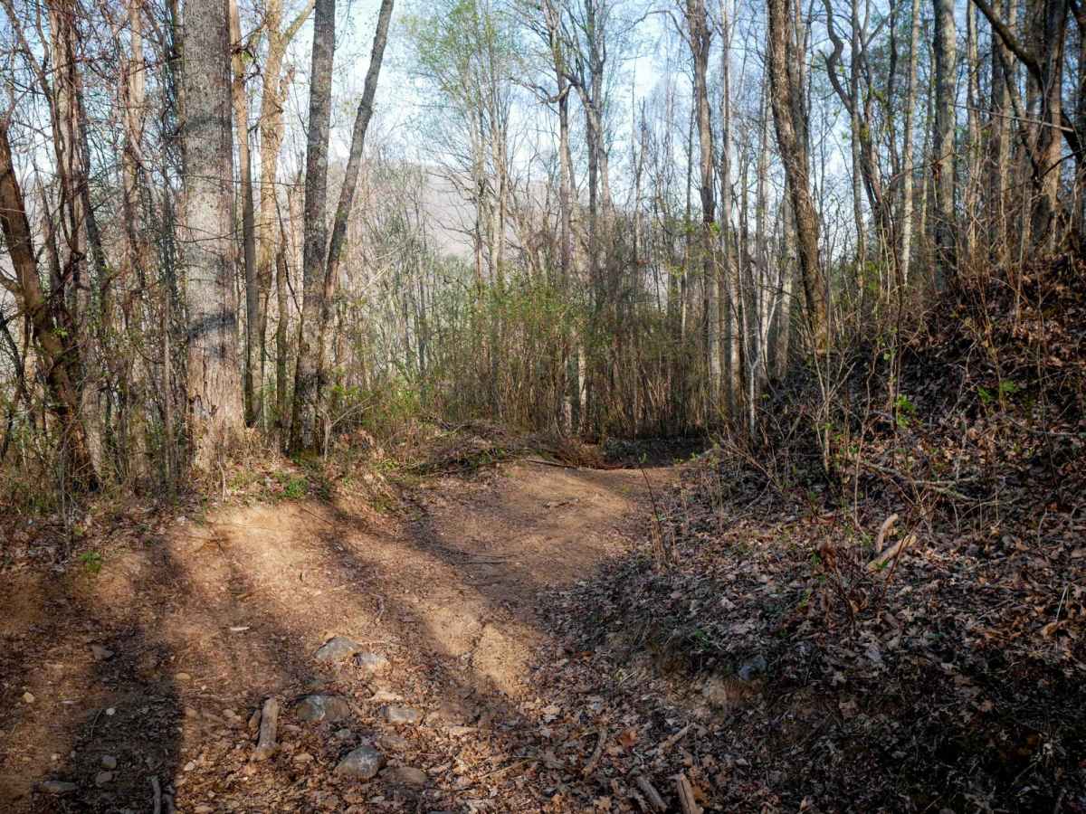 Buck Knob Trail 11 photo 6