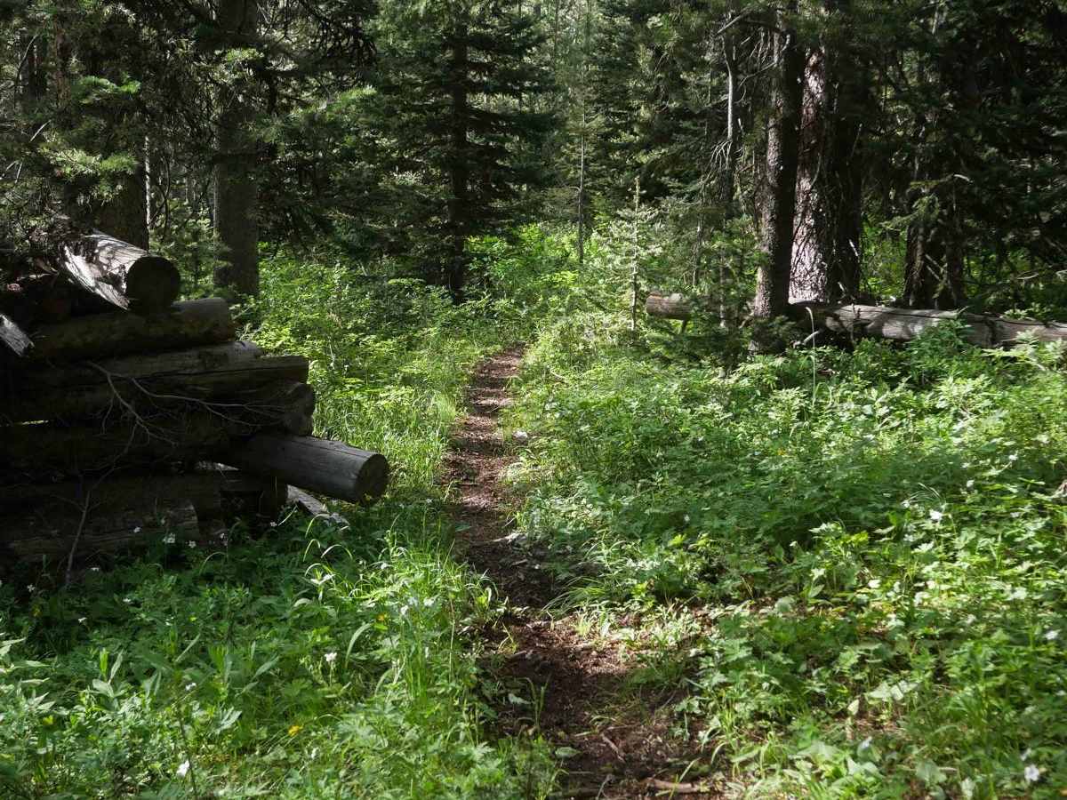 Trappers Cabin #3561A photo 3
