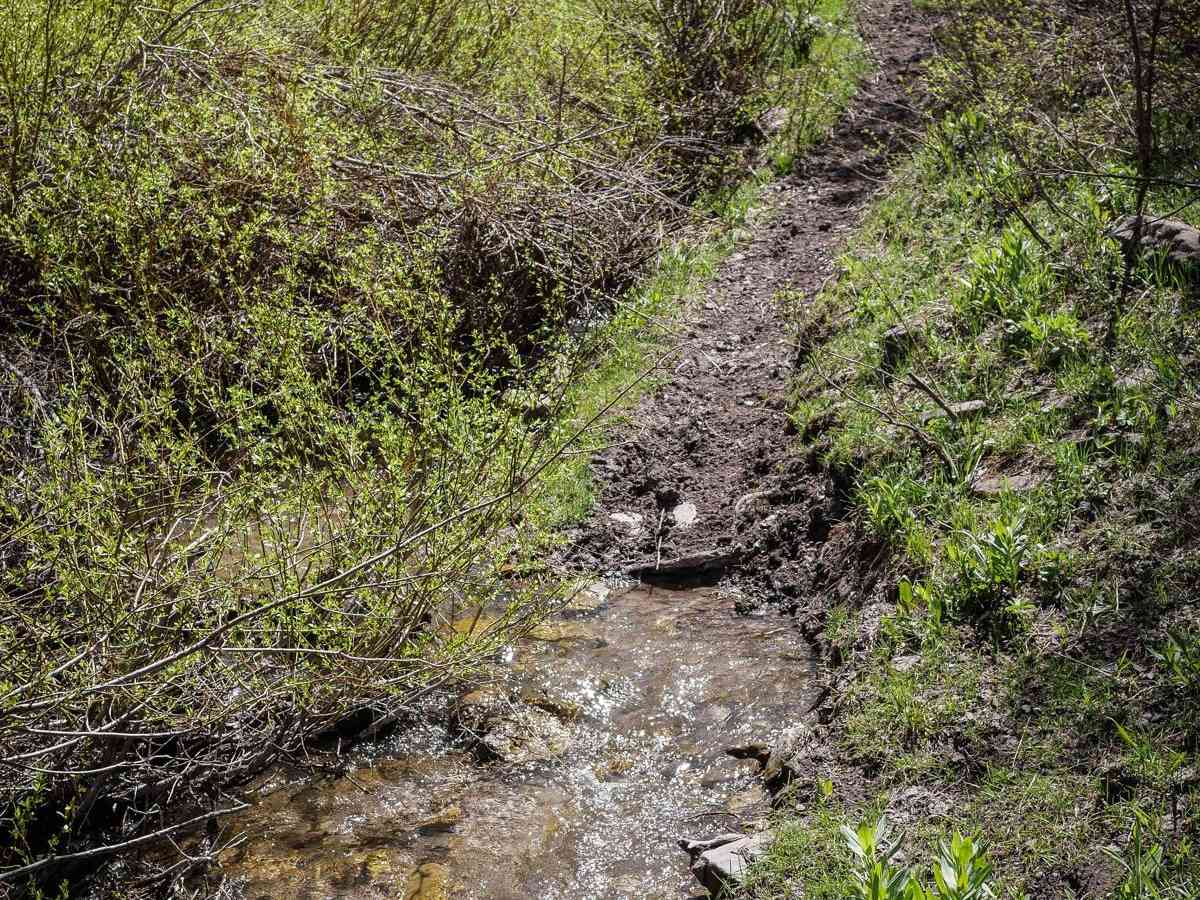 Fourth Water #017 trail photo