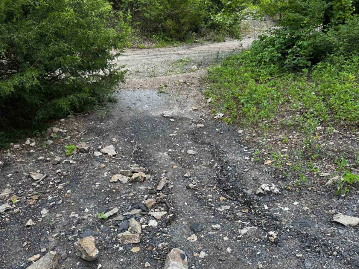 Red 169 photo 3
