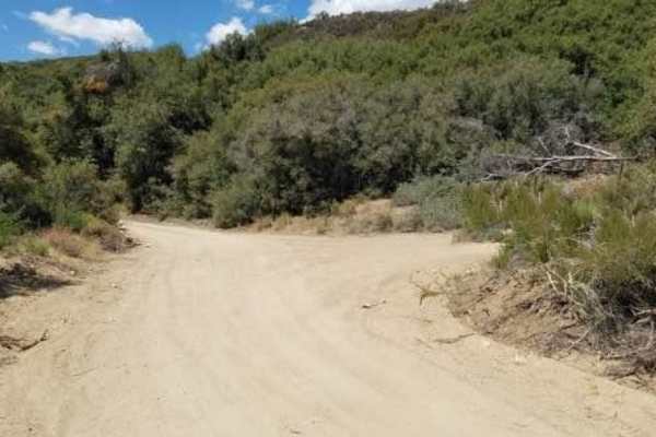 Radford Frontline Road - FS 104