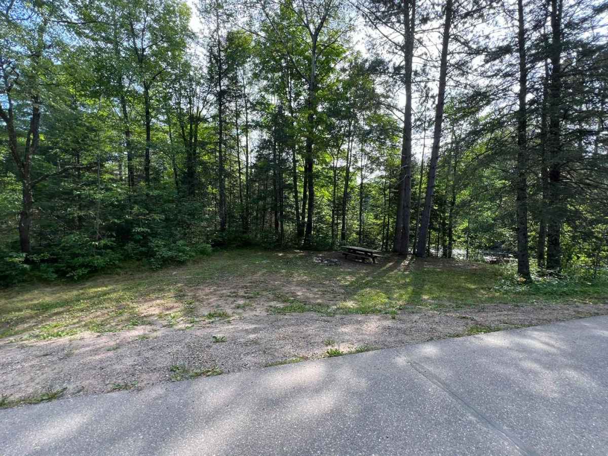 Michigan Creek Road - FS 2134 photo 5