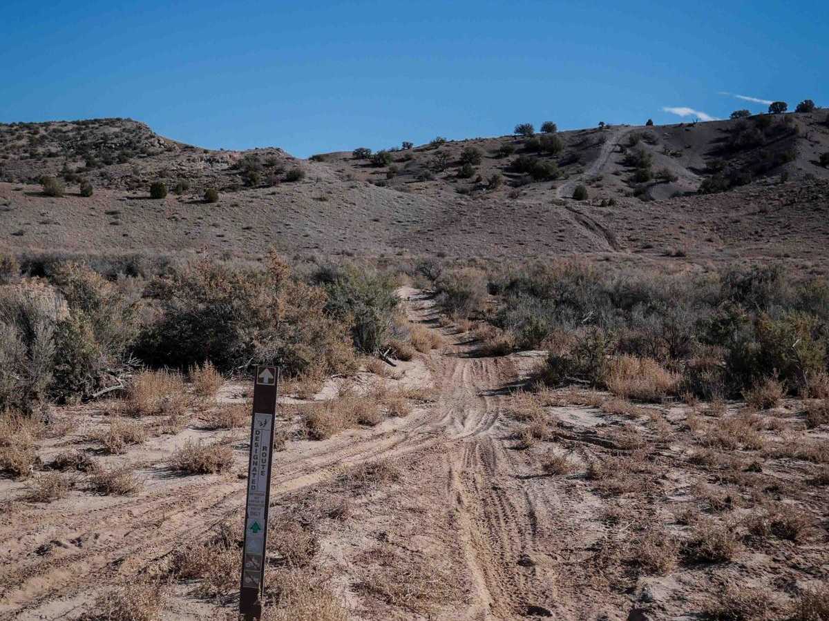 Ridge Trail photo 5
