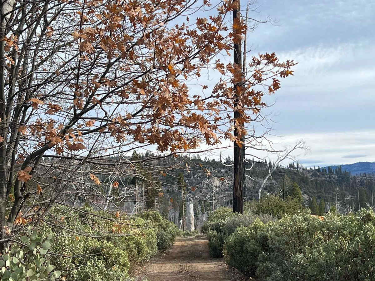 Middle Tuolumne River photo 4