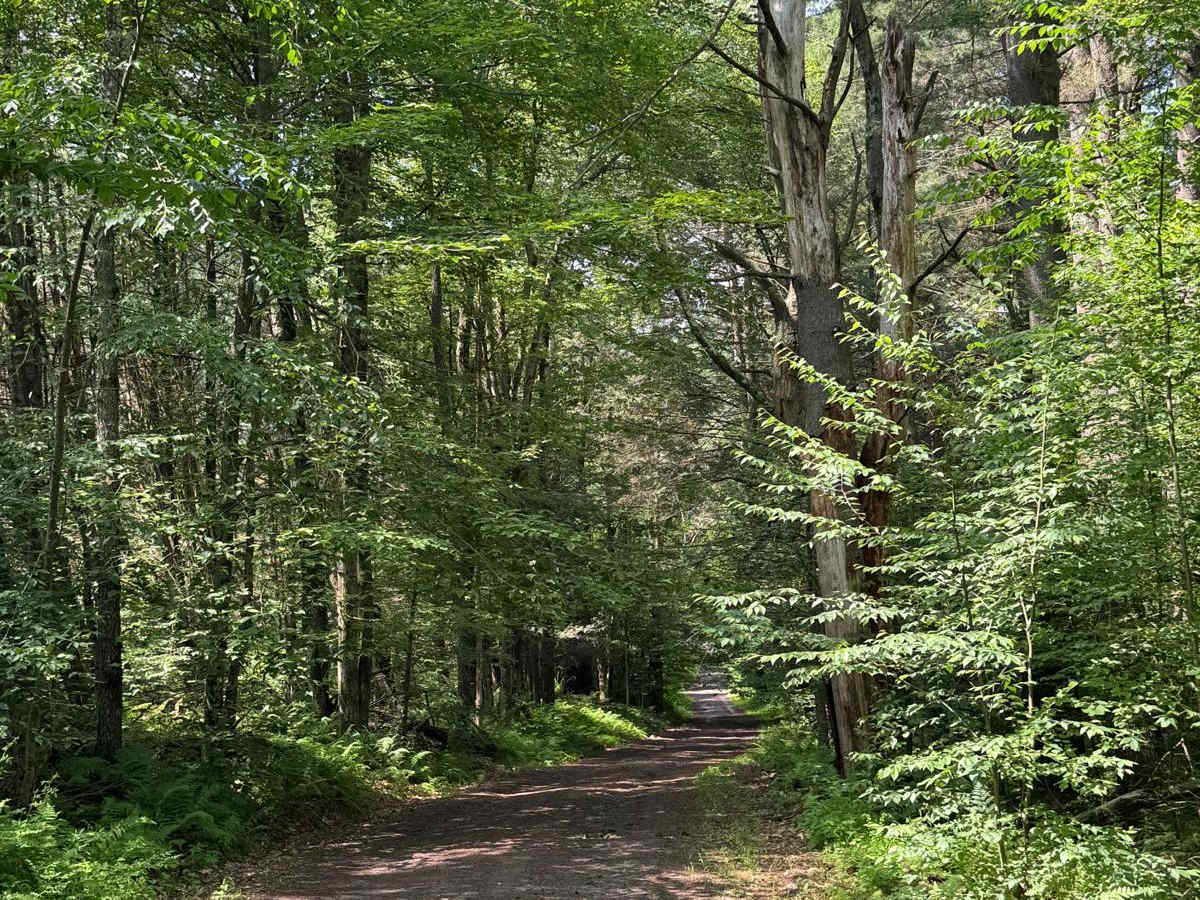 Blum Road photo 5