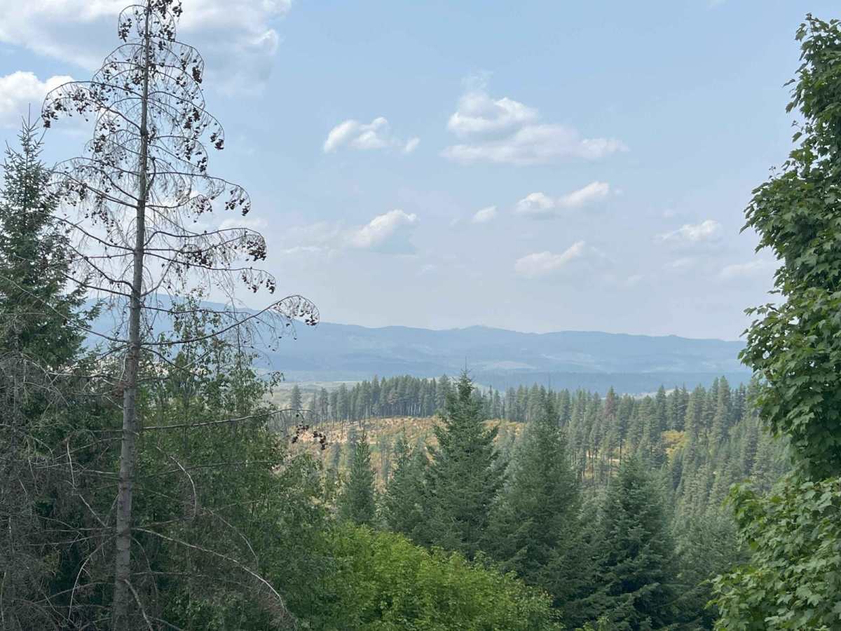 Road 4782 photo 4