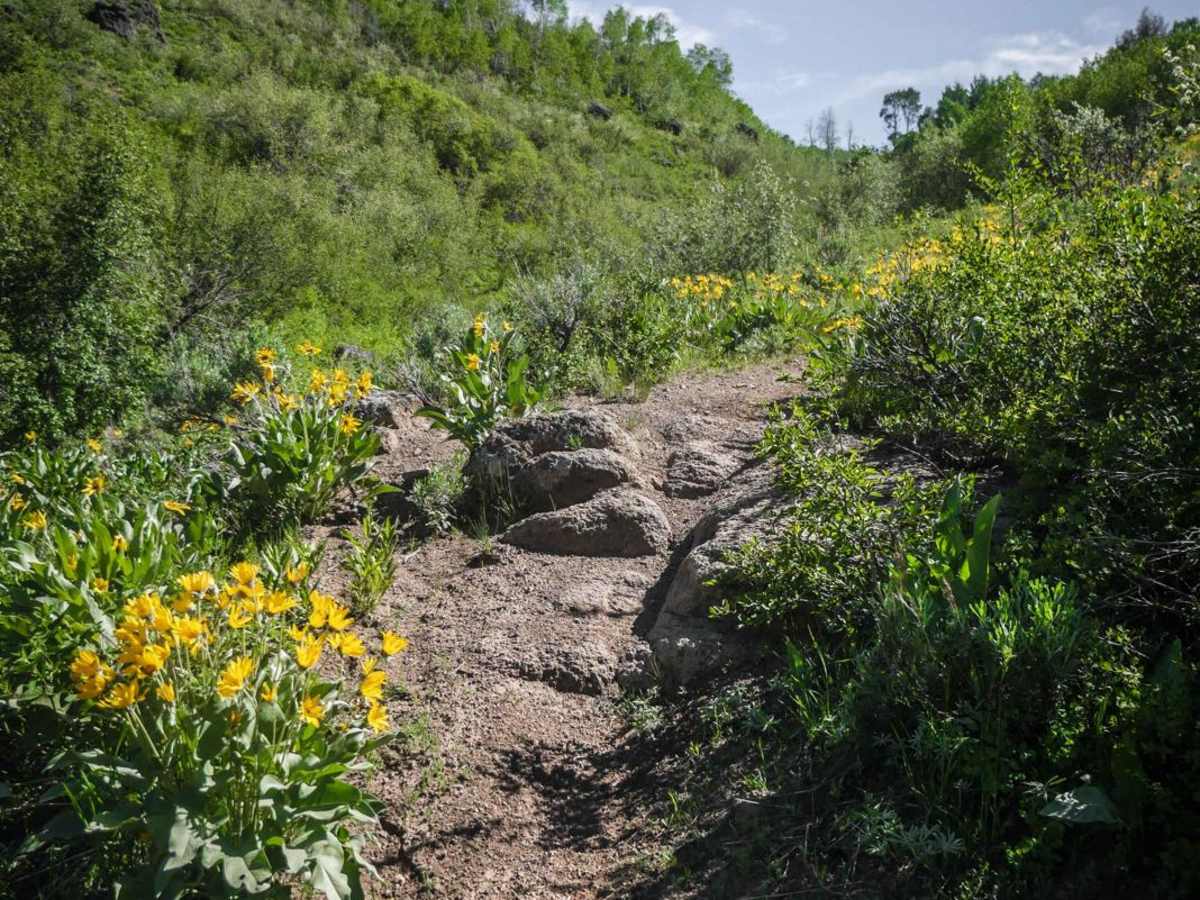 Mud Springs photo 2