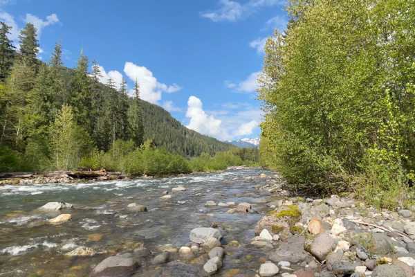 River Camp Paradise