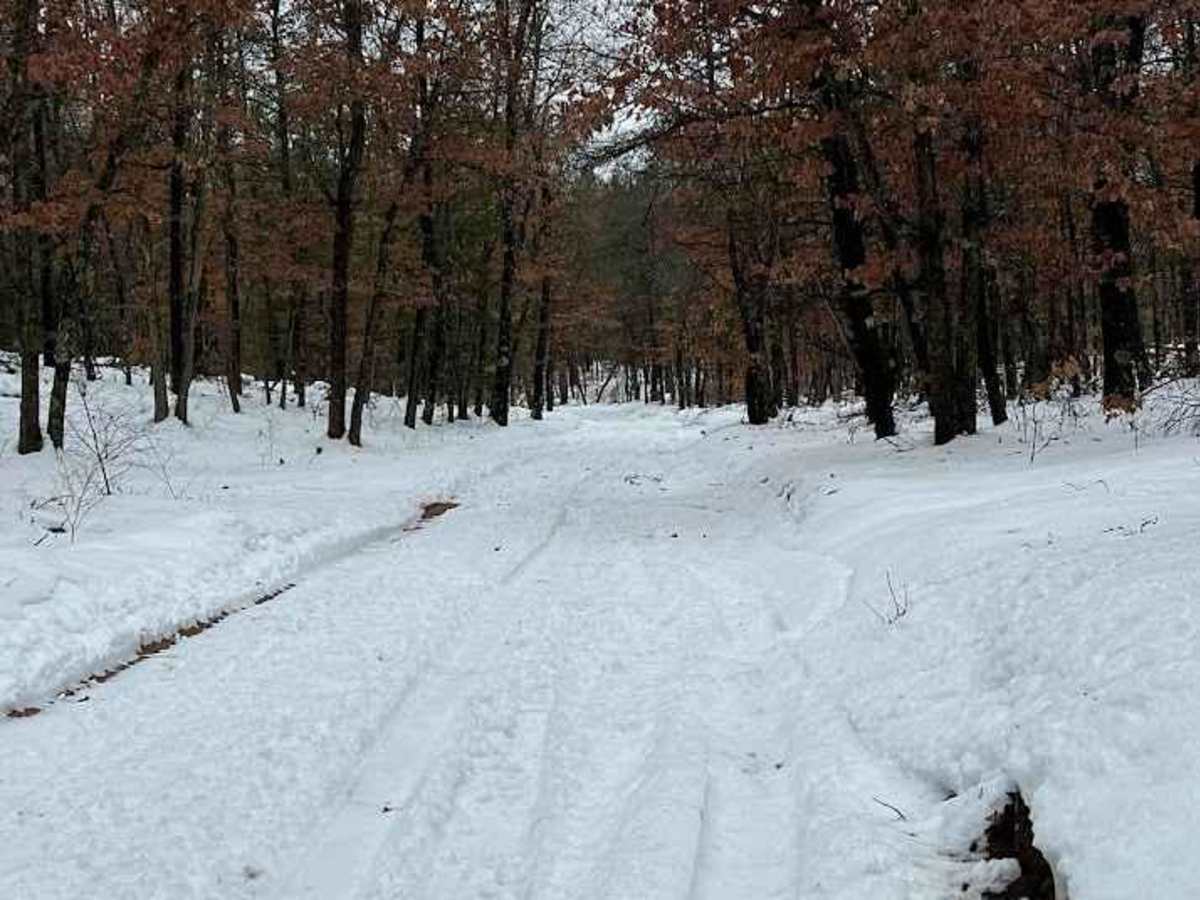 Whelan Lake Trail (NFS 6661/6716) photo 2