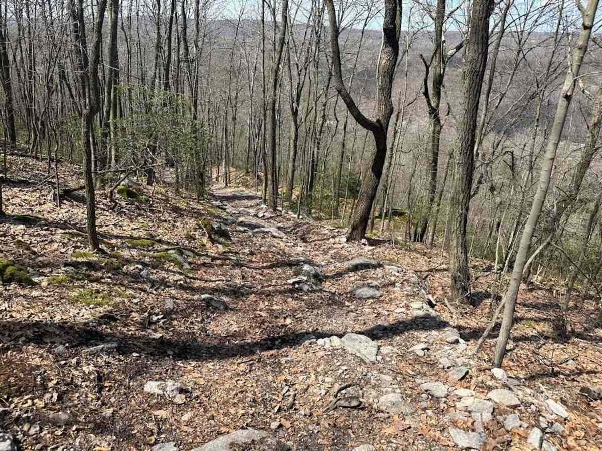 Ashland 127 trail photo