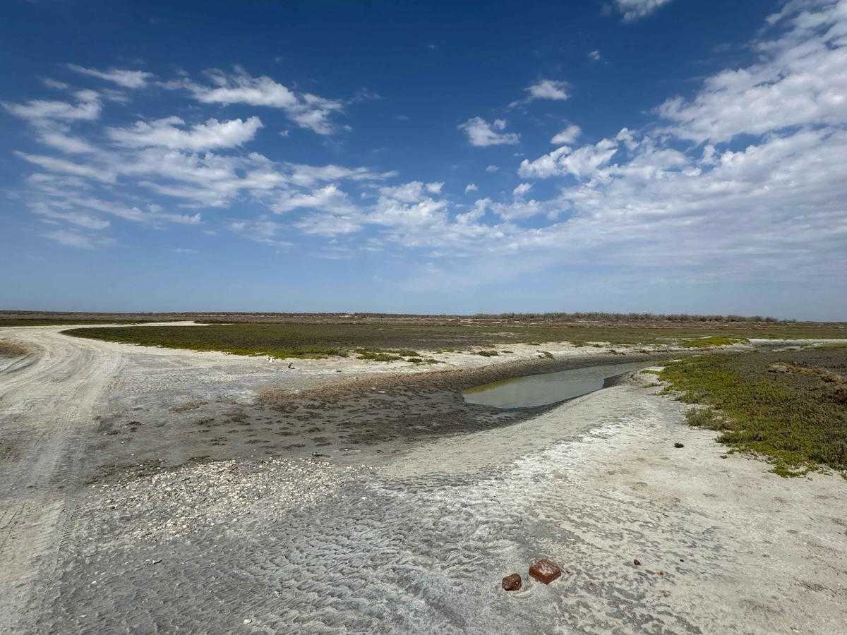 Western Coastal Connection trail photo