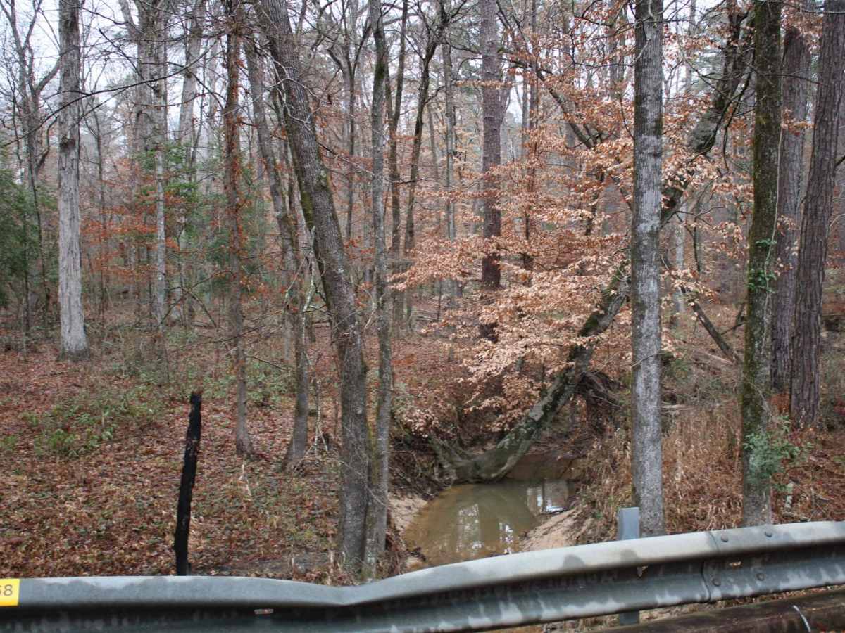 Gum Springs and Crooked Roads photo 5